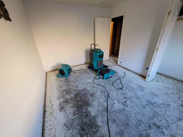 Best Carpet water damage restoration  in Orangeburg, SC