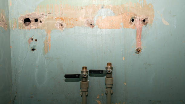 Best Carpet water damage restoration  in Orangeburg, SC